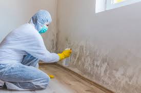 Reliable Bethany, OR Mold Inspection Solutions