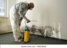 Best Black Mold Removal  in Bethany, OR